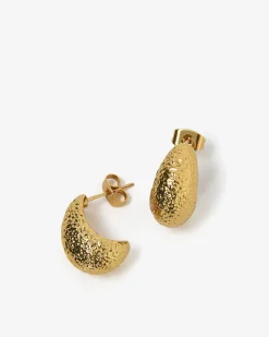 Forcast Amara Drop Earrings Gold New