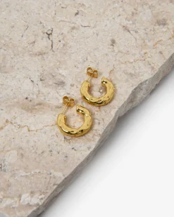 Forcast Amaris Hoop Earrings Gold Outlet